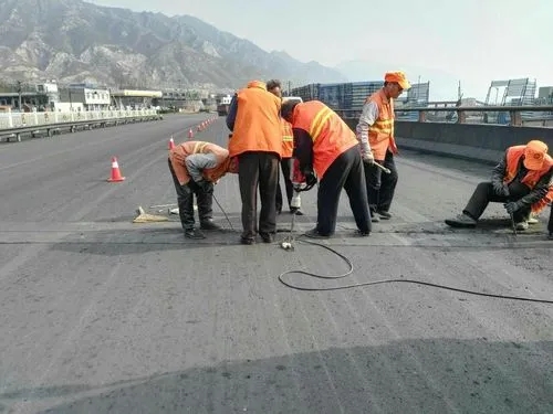 广元道路桥梁病害治理